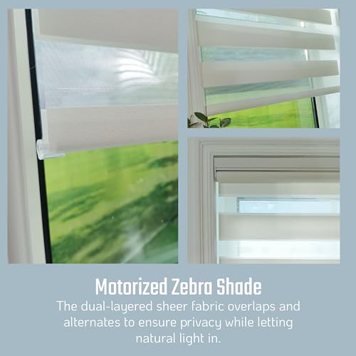 Motorized Zebra Blinds - Remote Control Window Shades