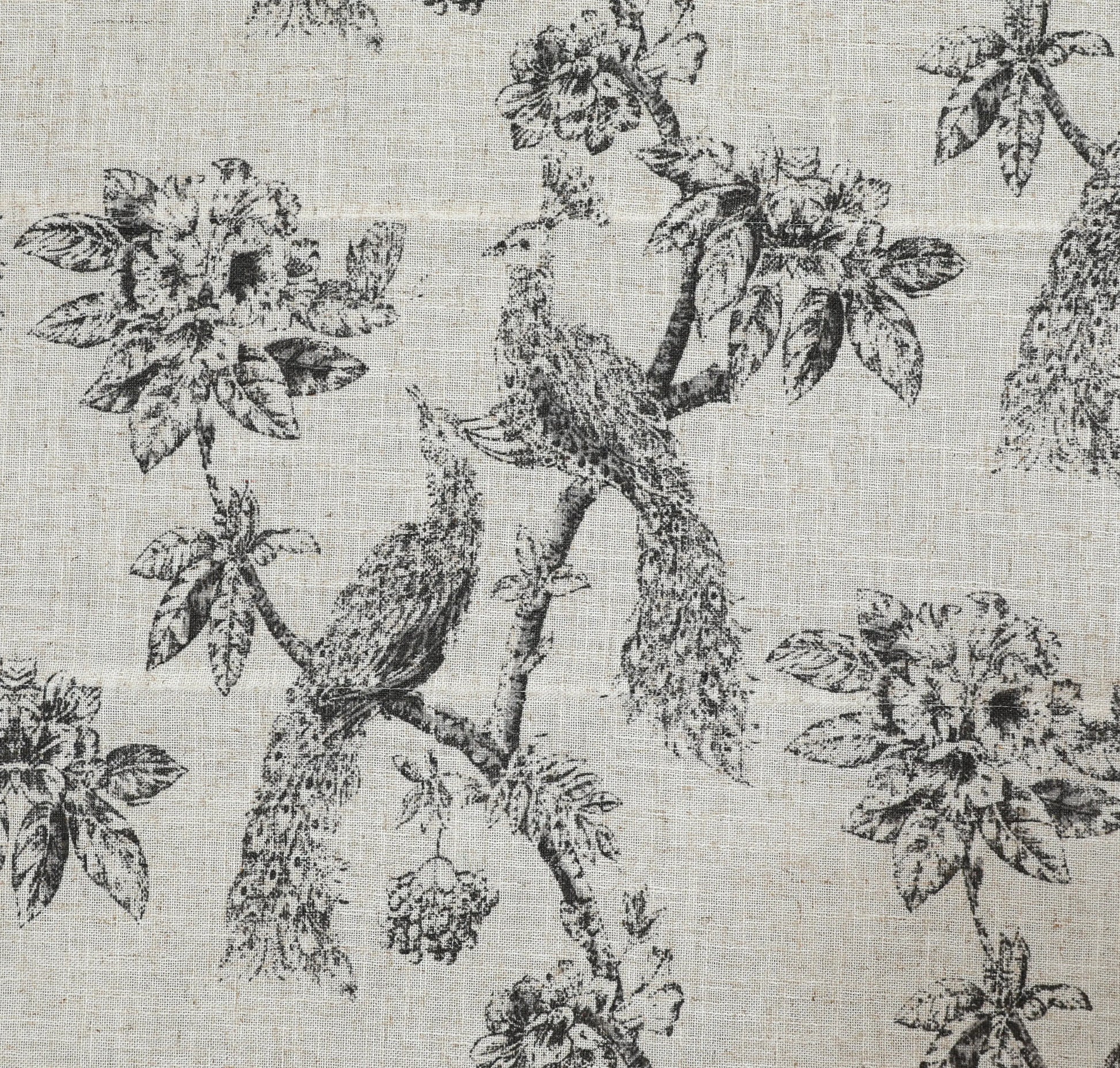 Peacock Cordless Roman Shade Shadisfy